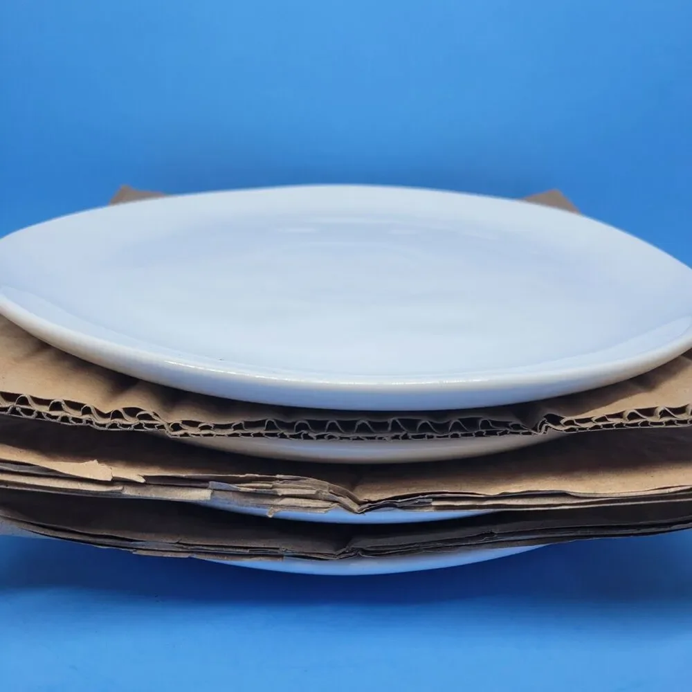 Fitz & Floyd Everyday White Porcelain Organic 11